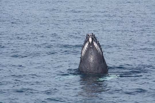 Tour image 6