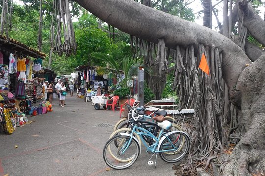 Tour image 6