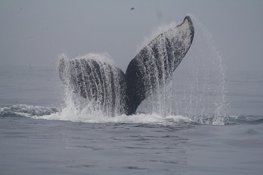 Tour image 3