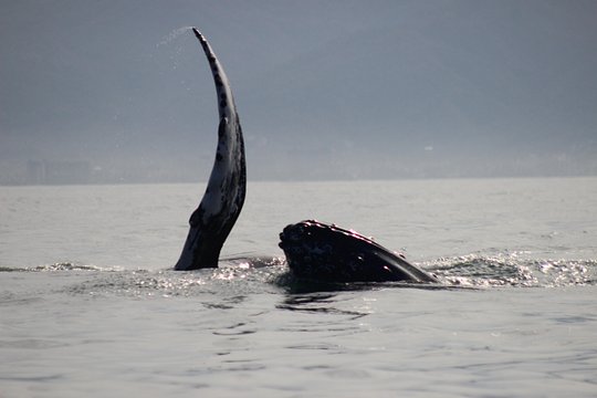 Tour image 6