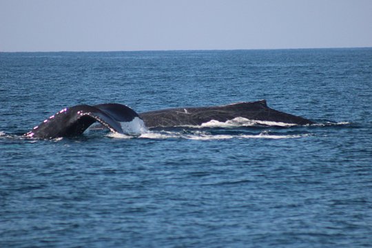 Tour image 7