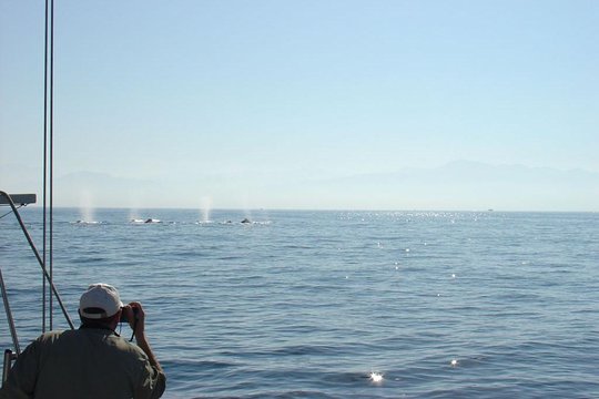 Tour image 8