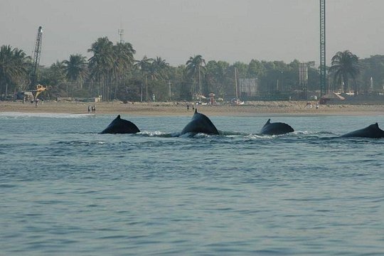 Tour image 4