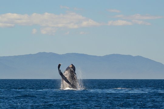Tour image 6