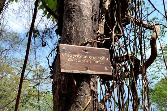 Tour image 6