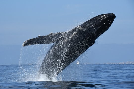 Tour image 6