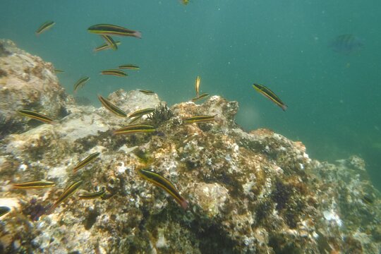Tour image 4