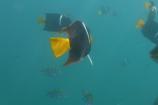 Tour image 5