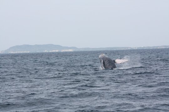 Tour image 6