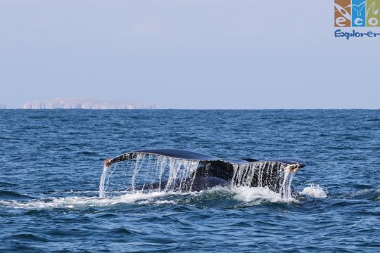 Tour image 10