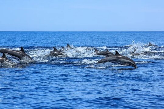 Tour image 13