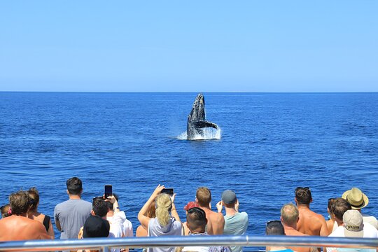 Tour image 5