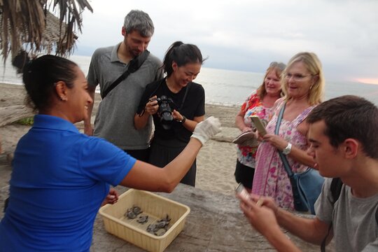 Tour image 2