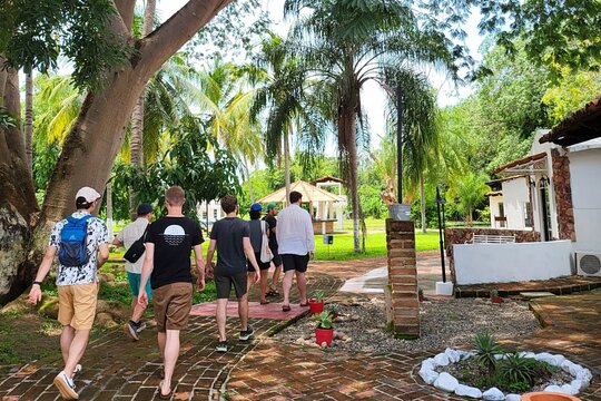 Tour image 6