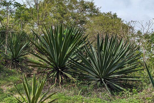 Tour image 6