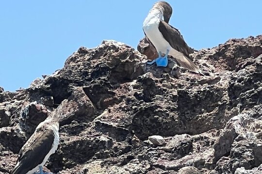 Tour image 11