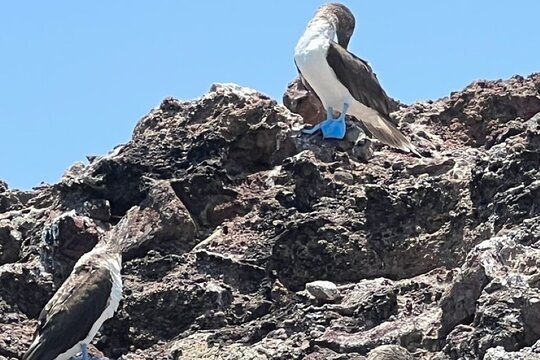 Tour image 10