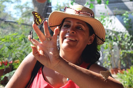 Tour image 3