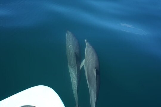 Tour image 11
