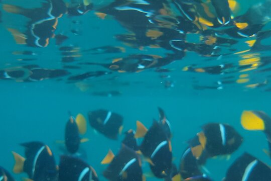 Tour image 14