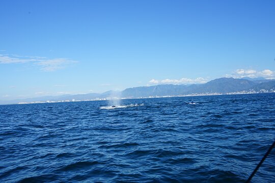 Tour image 11
